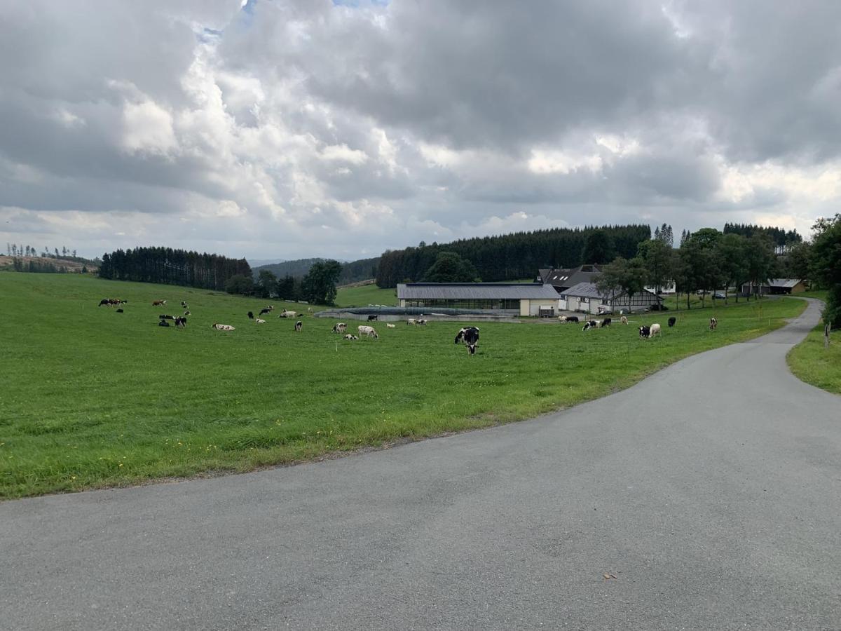 Pension Wittgensteiner Schweiz バート・ベルレブルク エクステリア 写真